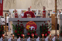 3C6A6008-Exposure-Exposure