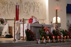 3C6A6011-Exposure-Exposure