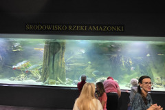 20251018_153350-—-kopia